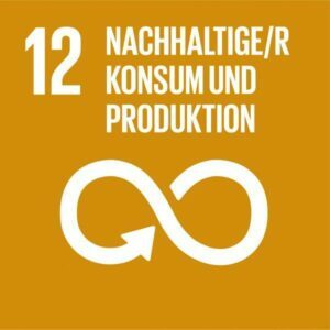 SDG-icon-DE-12